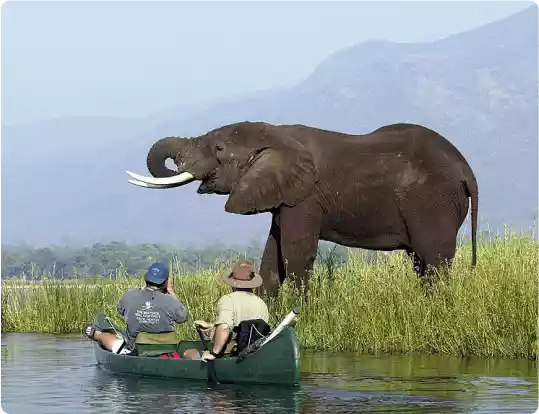 About SaintLuciaTenders